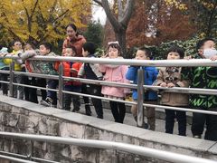 -苏州河梦清园环保主题公园