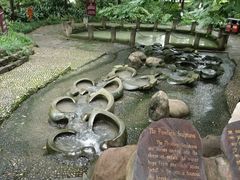 -成都市活水公园