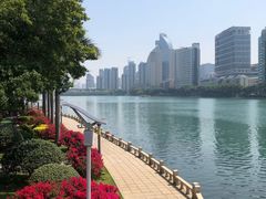 -白鹭洲公园