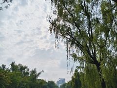 -元大都城垣遗址公园
