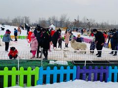 -绿野森林乐园冰雪季