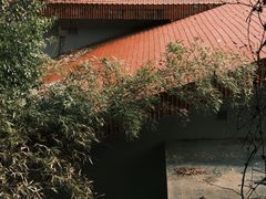 -中国茶叶博物馆(双峰馆区)