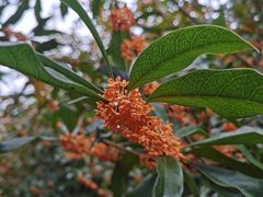 -荆州中山公园动物园