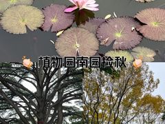 -国家植物园南园