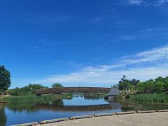 -马家湾湿地公园