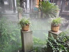 -王家渡火锅(三苏祠店)