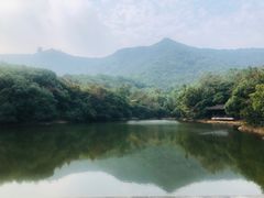 -杭州半山国家森林公园