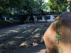 -绍兴鲁迅故里·沈园景区