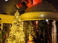 -弦月窗LUNETTE BY AMANDA(复兴路店)