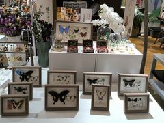-十八字金·银饰·拼豆·开蚌DIY(魏公芳华里店)