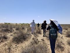 -银肯塔拉沙漠生态旅游景区