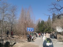 -白水寺森林公园
