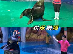 -烟台海昌鲸鲨海洋公园