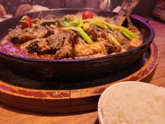 -老板恋上鱼(恒隆广场店)