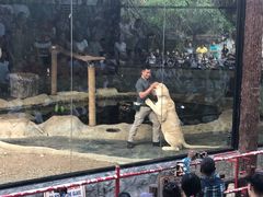 -清迈夜间动物园