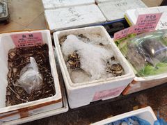 -荔城生鲜盛宴(番禺旗舰店)