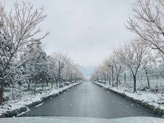 -帐篷客·溪龙茶谷度假酒店