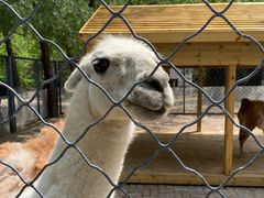 -长白岛森林公园