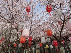 -春风习习