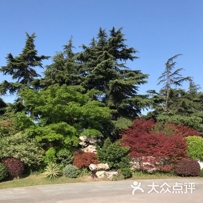 泗塘公园图片-北京公园-大众点评网