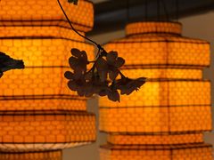 -龙湖星悦荟(颐和店)