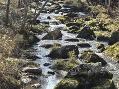 -汤旺河林海奇石景区