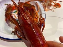 -文和友老长沙龙虾馆(化龙池店)