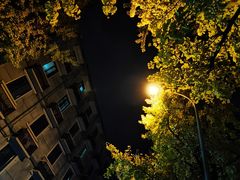 -奎星楼街
