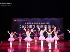 -武汉音乐学院徐东基地