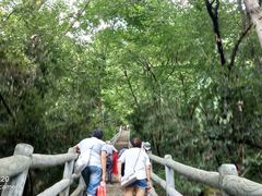 景点-九皇山景区