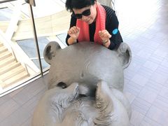 -凤凰中心