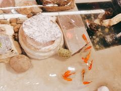 -正阳门饭庄·烤鸭·北京菜(万丰路七里庄店)