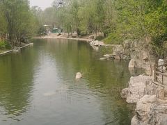 -朝阳公园游乐园