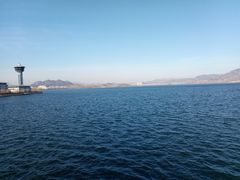 -雪野鱼头大王邢府公老店(雪野湖店)