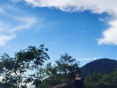-武陵山森林公园