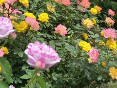 -中华郡文化旅游景区