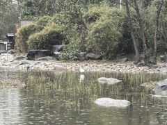 -新江湾城公园