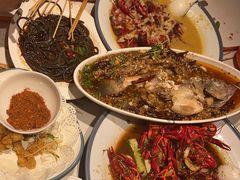 -杨氏青龙虾·羊蝎子(托乐嘉店)