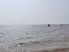 -启东黄金海滩景区