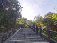 -四望岗公园