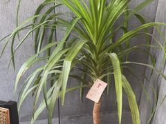 -陈熹公民族美食文化餐厅(中华广场店)