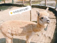 -武汉紫薇都市田园