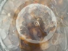 -绝城芋儿鸡(犀浦旗舰店)