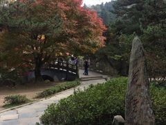 -庐山风景区花径公园