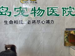 -半岛宠物医院24小时(科华中路店)