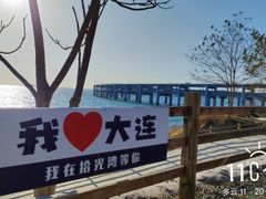 -星海湾跨海大桥