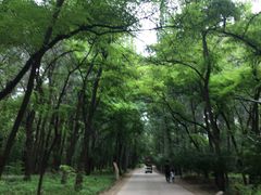 -廊坊市自然公园