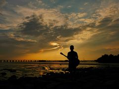 -宝安西湾红树林湿地公园