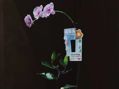 -LOTTA COFFEE(安居博文苑店)