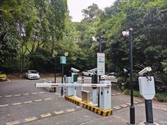 -西湖风景区-江洋畈生态公园